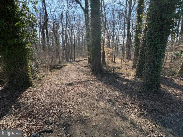 8126 Stacey Road Alexandria, VA 22308 - Photo 10 of 16