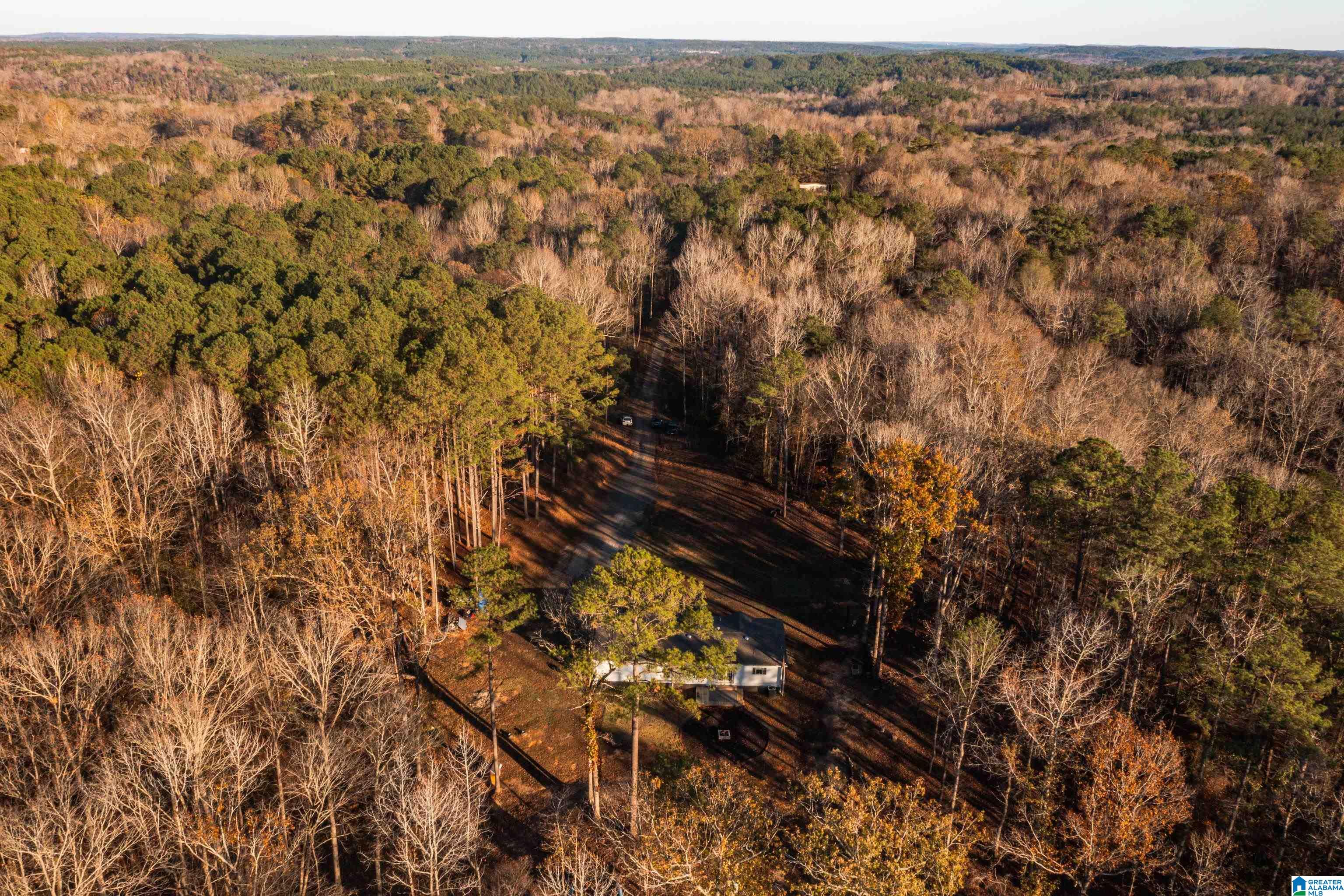 191 Warrior River Highlands Road Adger, AL 35006 - Photo 5 of 81