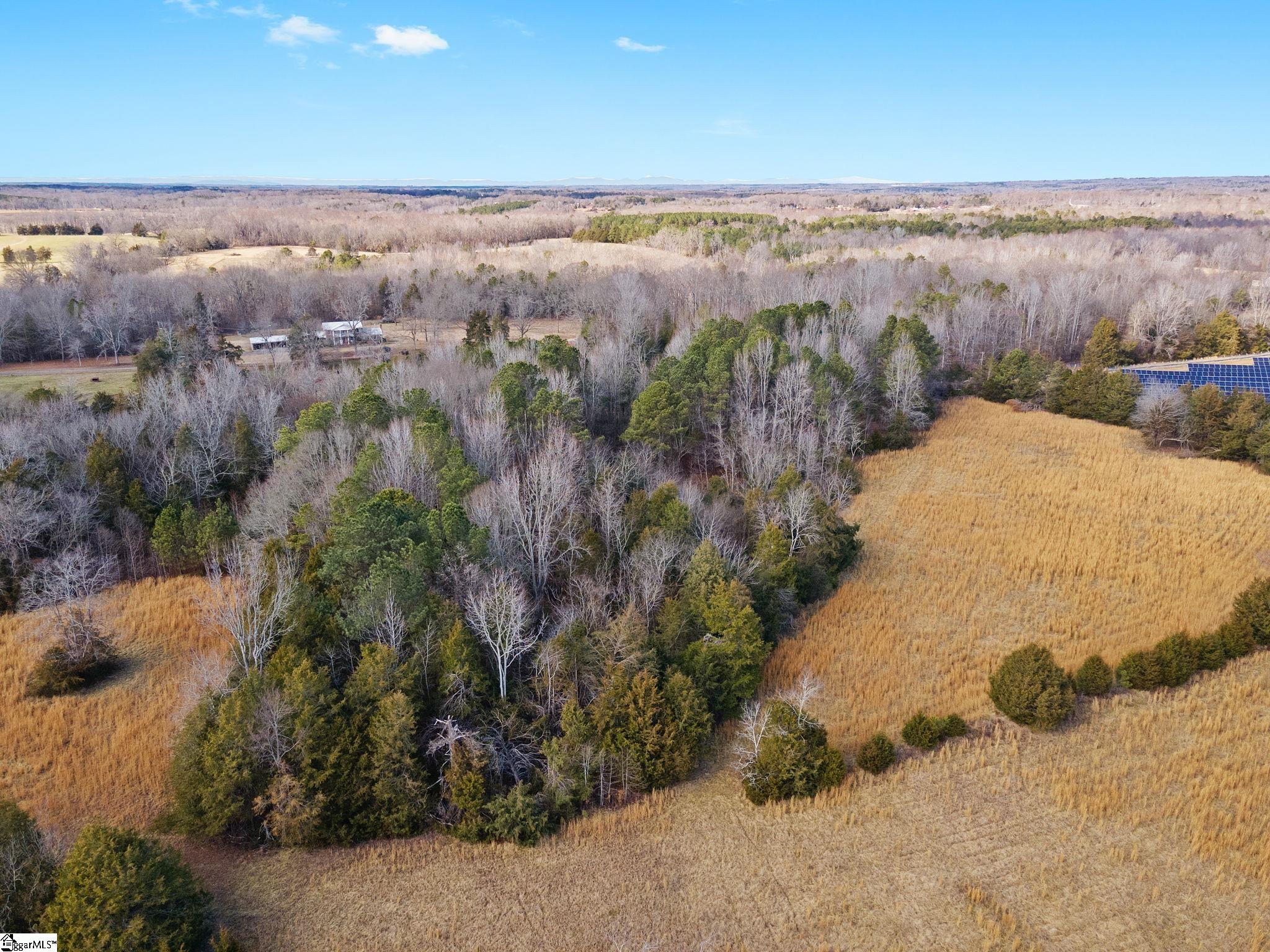 0 Piney Grove School Road Gray Court, SC 29645 - Photo 22 of 23 Gallery Image 22