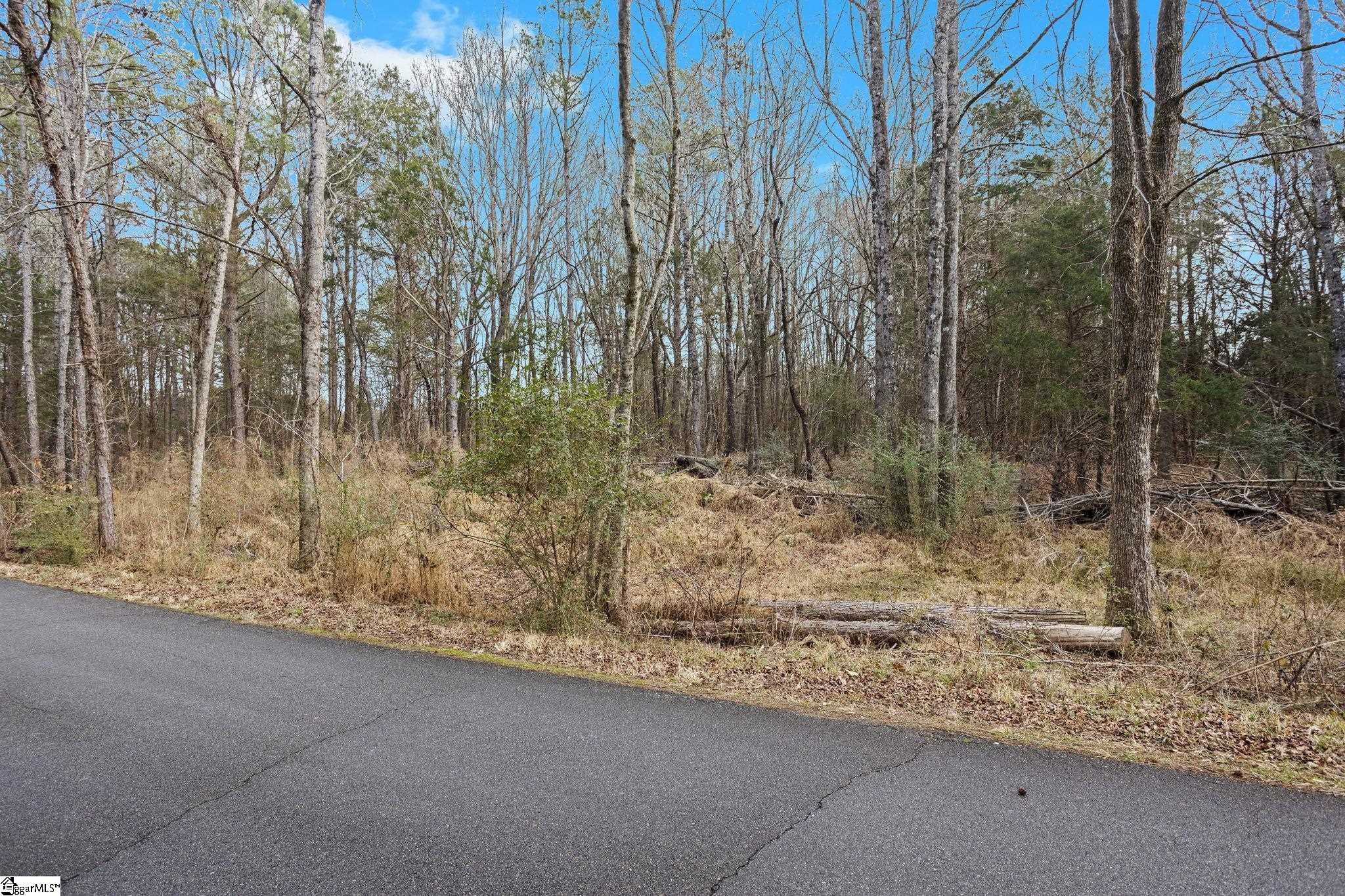 0 Piney Grove School Road Gray Court, SC 29645 - Photo 3 of 23 Gallery Image 3