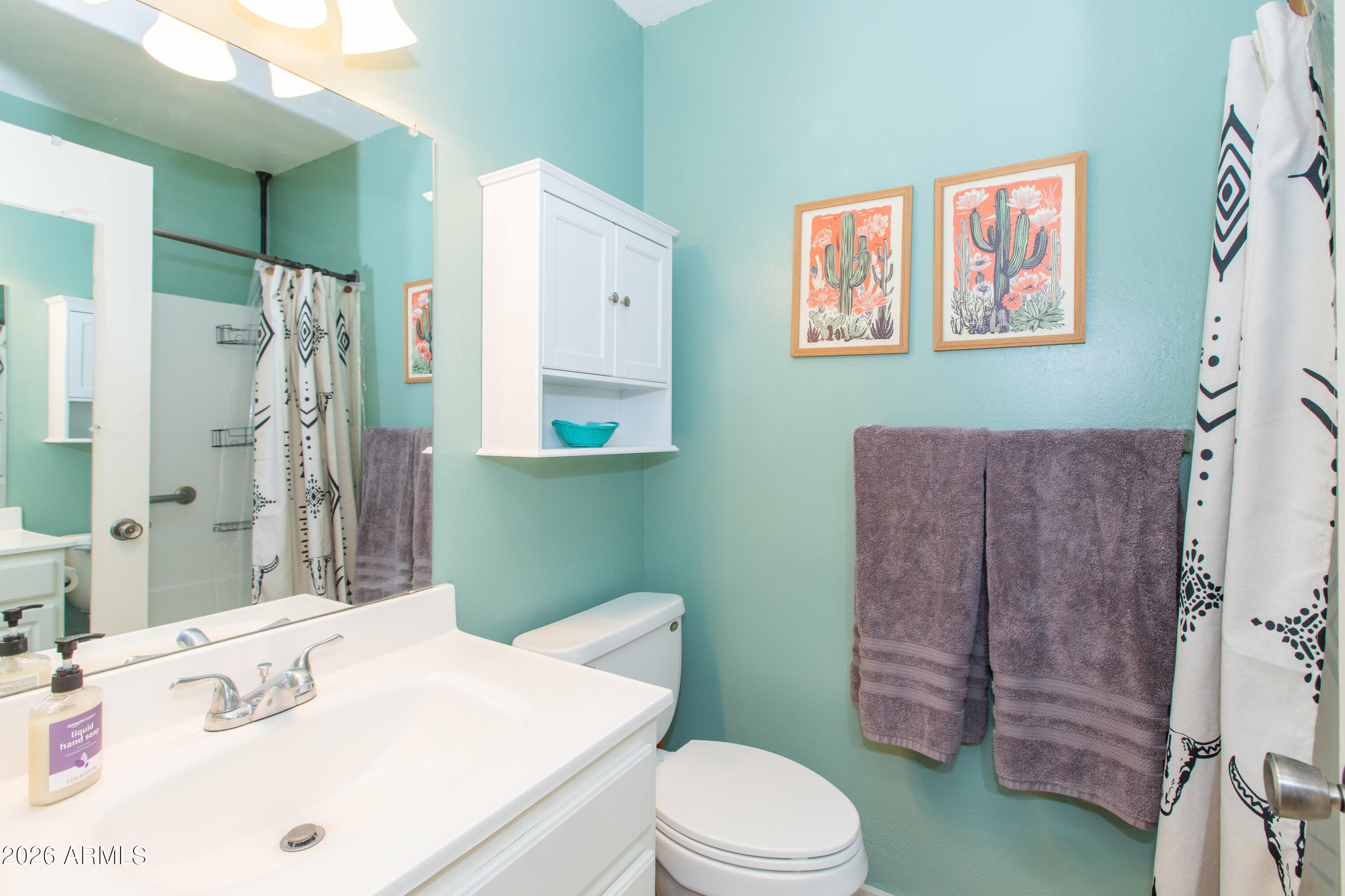 633 South Power Road, Unit 356 Mesa, AZ 85206 - Photo 4 of 38 Bathroom