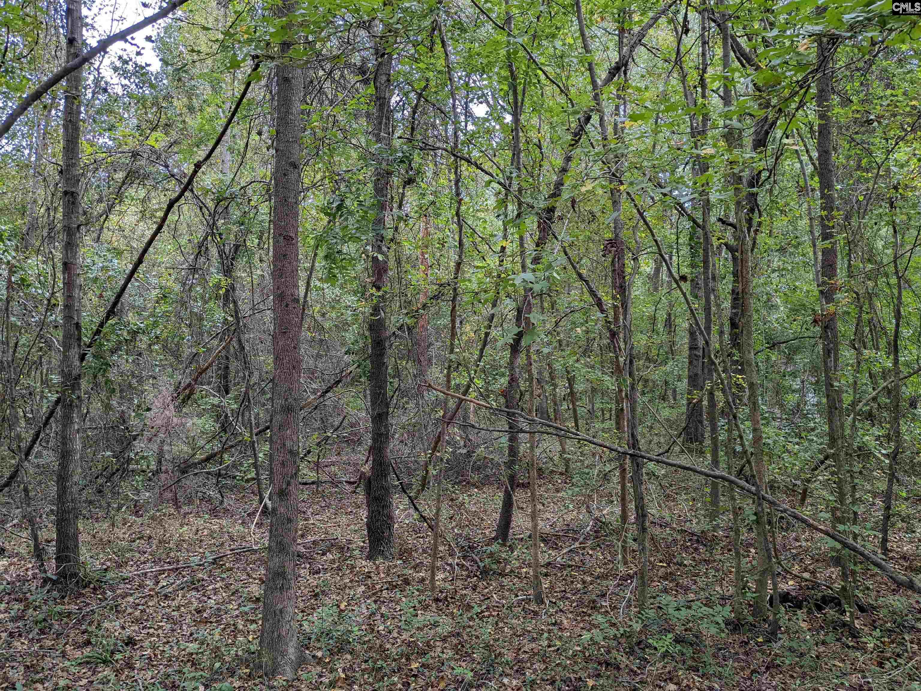 1113 Chappell Creek Road Hopkins, SC 29061 - Photo 4 of 4
