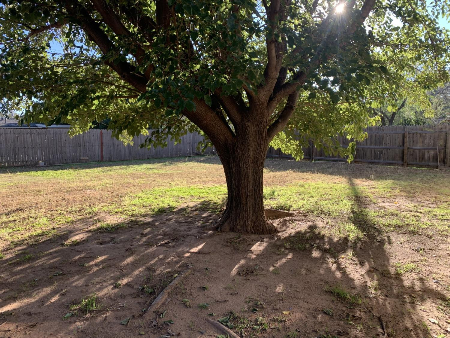 3605 31st Lubbock, TX 79410 - Photo 11 of 11 Photo 11