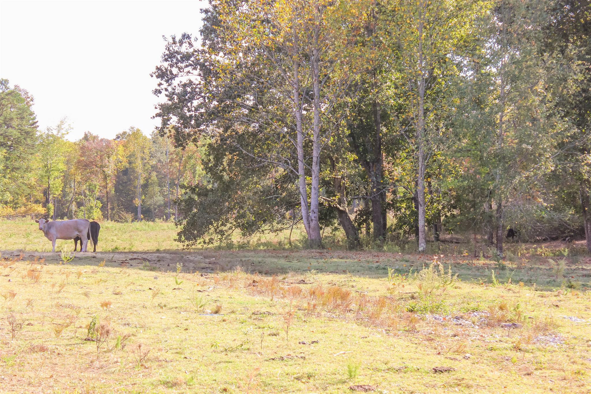 31 Richards Road Lynchburg, TN 37352 - Photo 24 of 29 Gallery Image 24