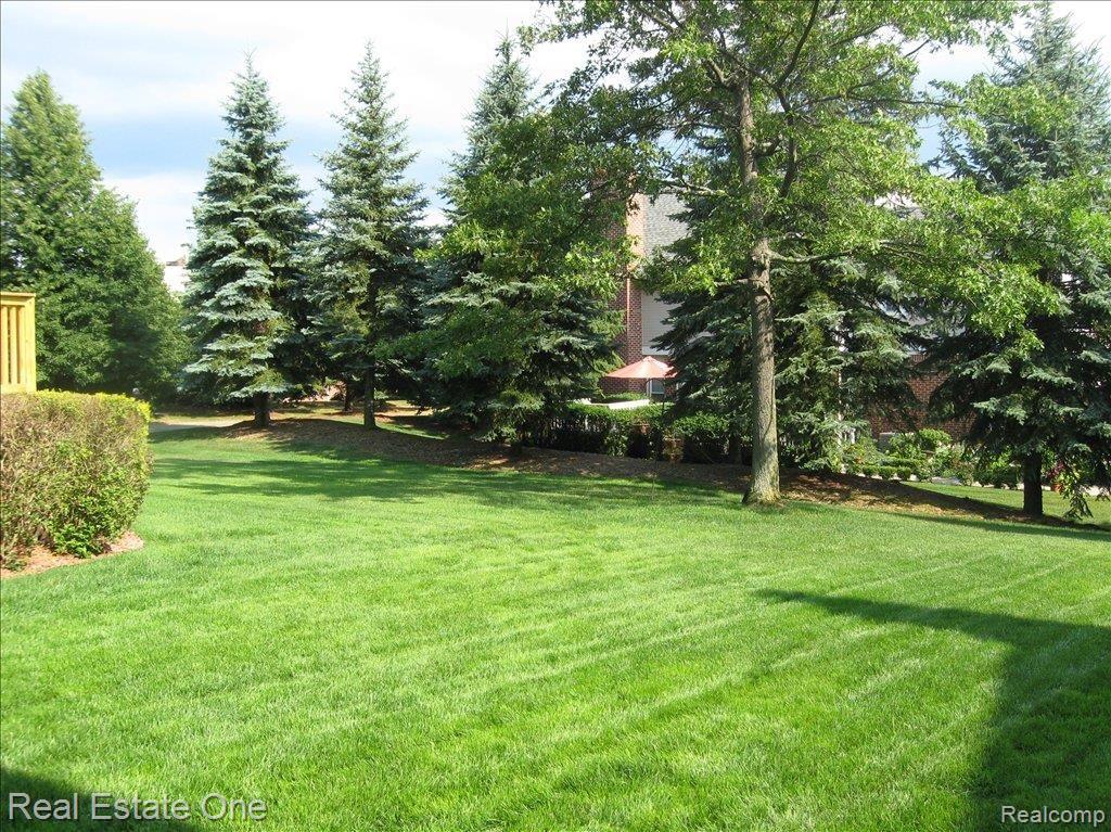 1102 Ridgeway Drive Rochester, MI 48307 - Photo 2 of 12 back yard