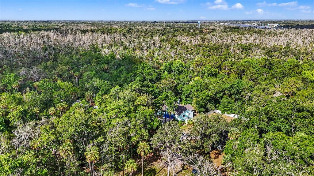 4586 Flambeau Loop Homosassa, FL 34448 - Photo 68 of 80