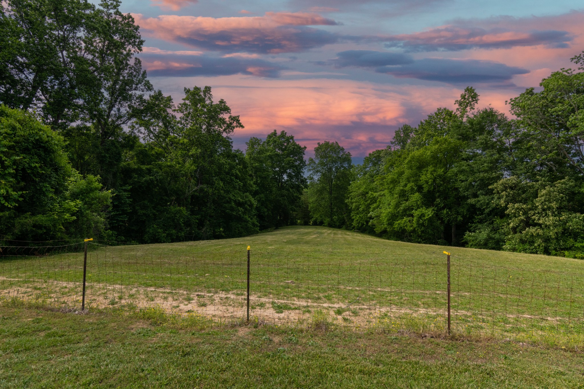 225 Sherman Road Charlotte, TN 37036 - Photo 54 of 69