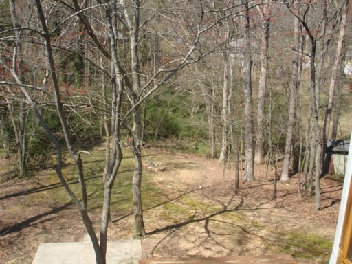 105 Monticello Road Oak Ridge, TN 37830 - Photo 28 of 35 Additional Photo
