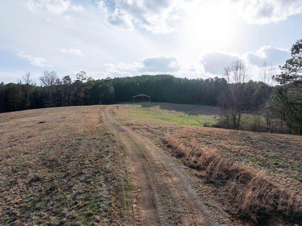 15201 Co Road Carbon Hill, AL 35549 - Photo 11 of 46 Gallery Image 11