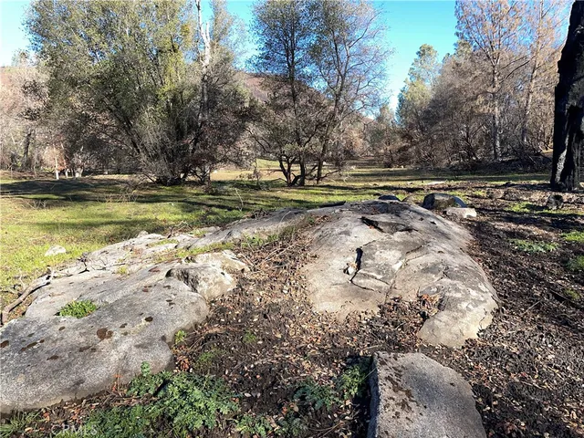 a view of a swimming pool and trees