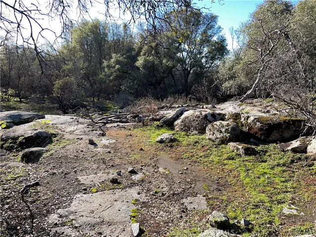 a view of empty space with trees