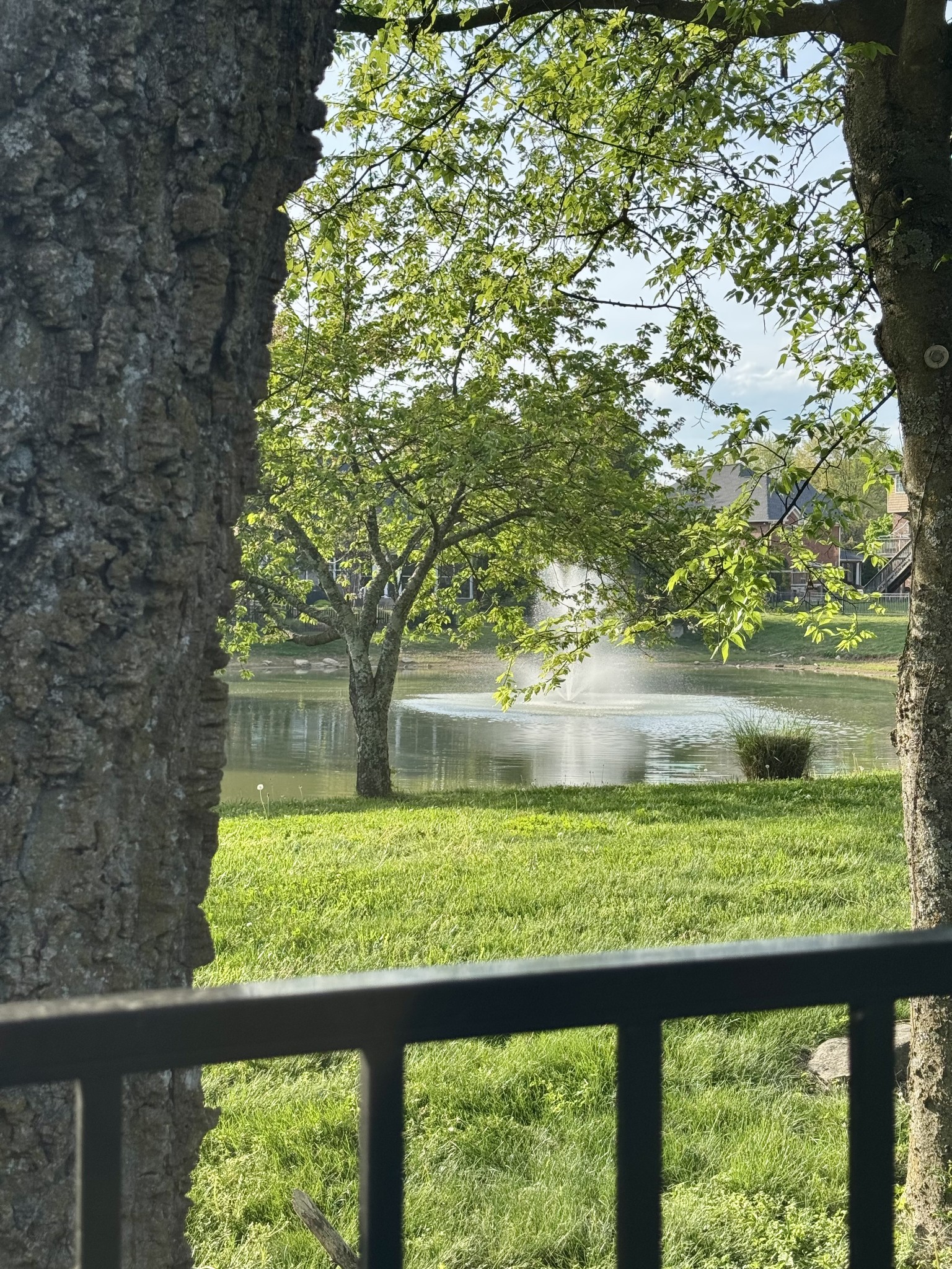 1608 Fair House Road Spring Hill, TN 37174 - Photo 13 of 18