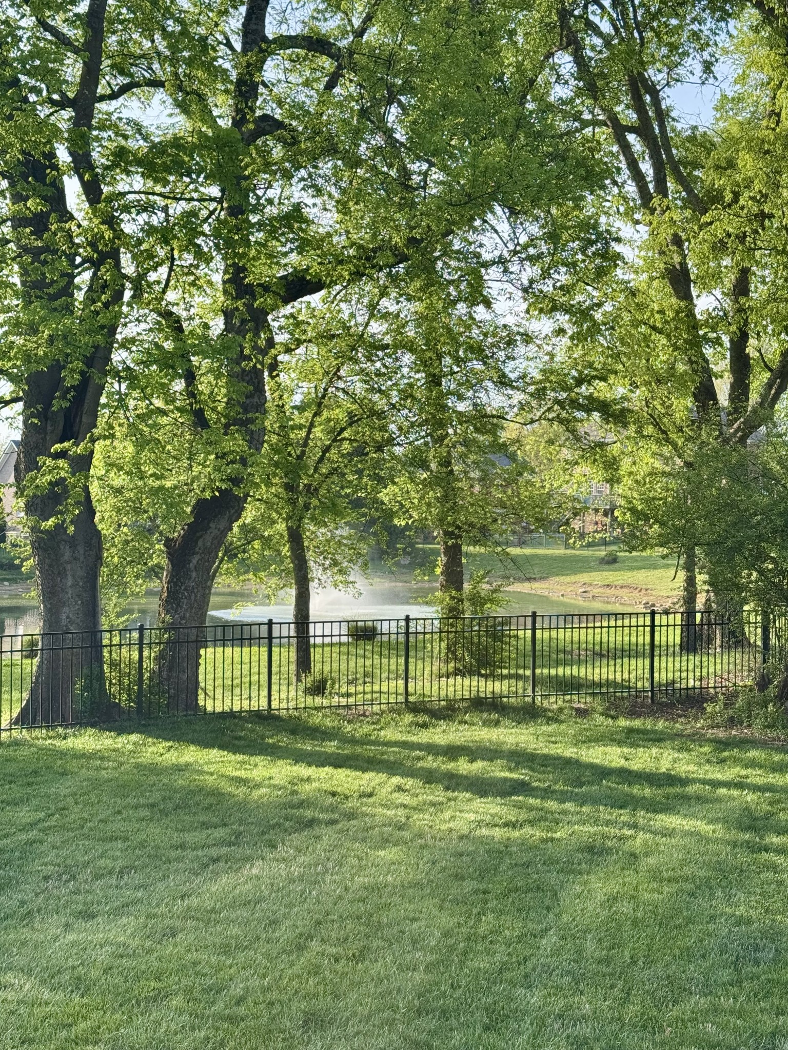 1608 Fair House Road Spring Hill, TN 37174 - Photo 9 of 18