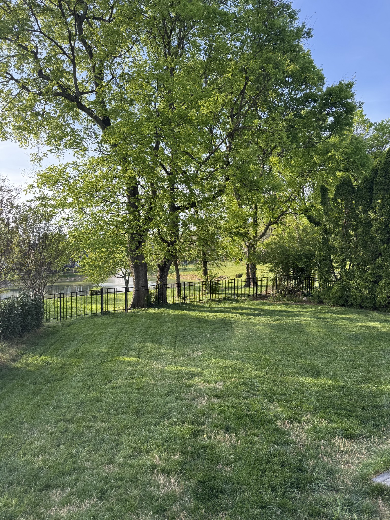 1608 Fair House Road Spring Hill, TN 37174 - Photo 10 of 18