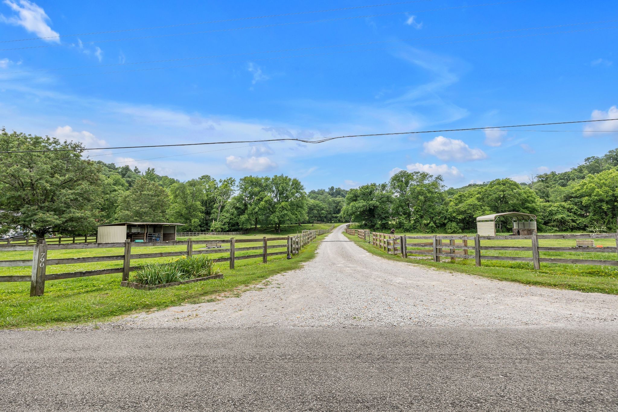 790 Blooming Grove Road Pulaski, TN 38478 - Photo 8 of 67 a view of a park