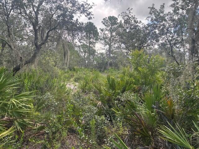 0 Old Stokes Road Frostproof, FL 33843 - Photo 6 of 8 4