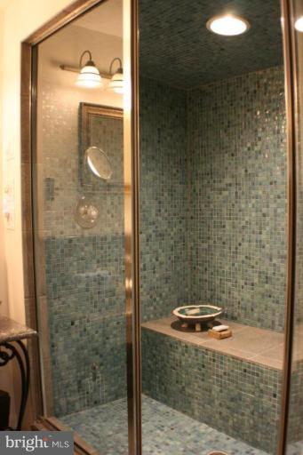 7900 Clearfield Road Frederick, MD 21702 - Photo 21 of 30 Incredible 2nd bath, w/ custom steamroom