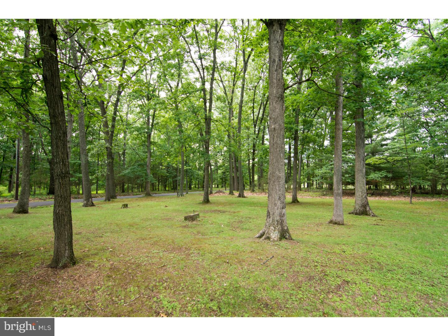 705 Bucks Road Perkasie, PA 18944 - Photo 18 of 19 Gallery Image 18
