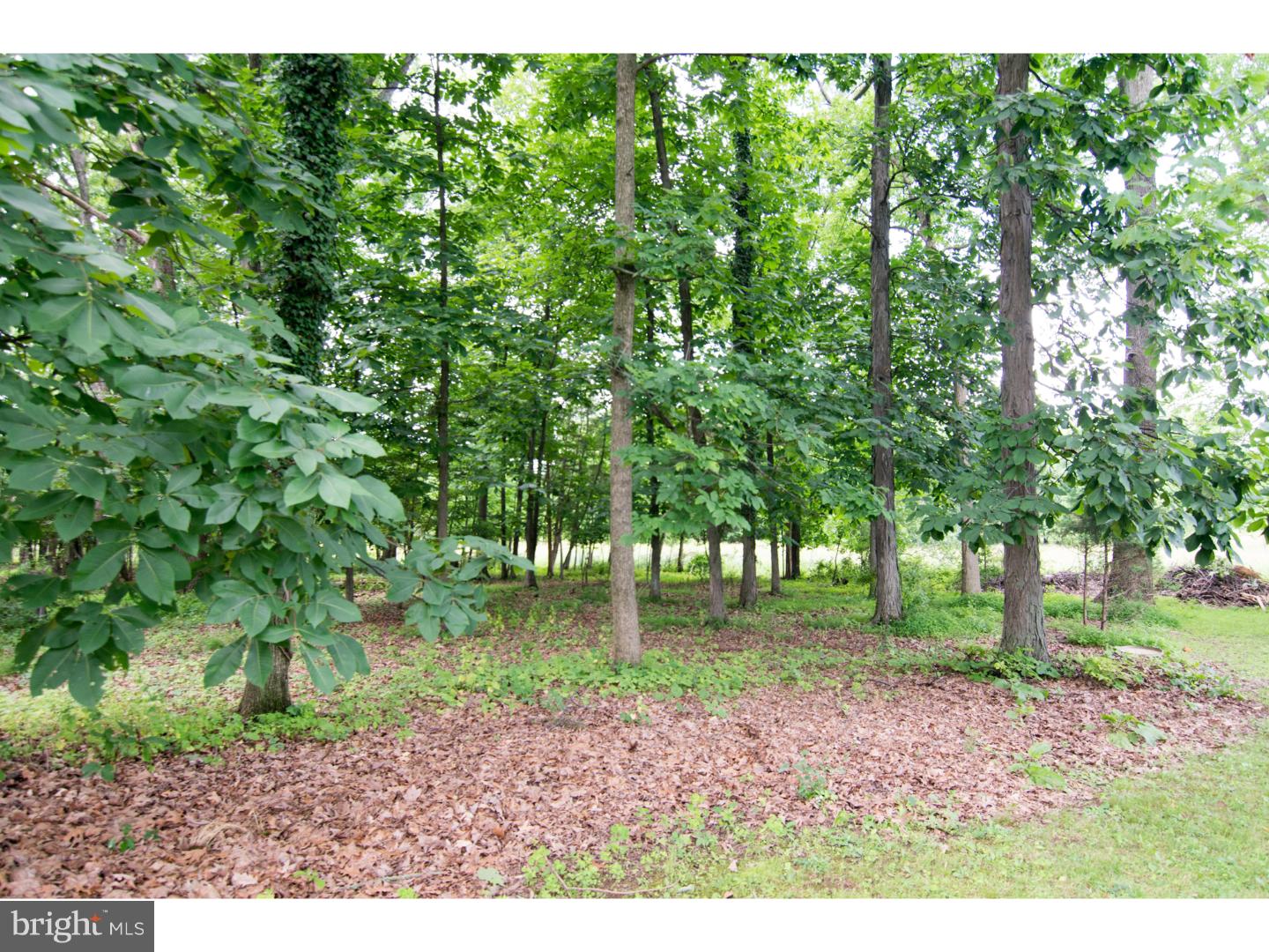 705 Bucks Road Perkasie, PA 18944 - Photo 19 of 19 Gallery Image 19