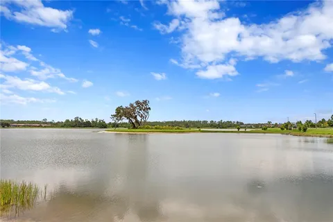 a house with palm tree in front of it