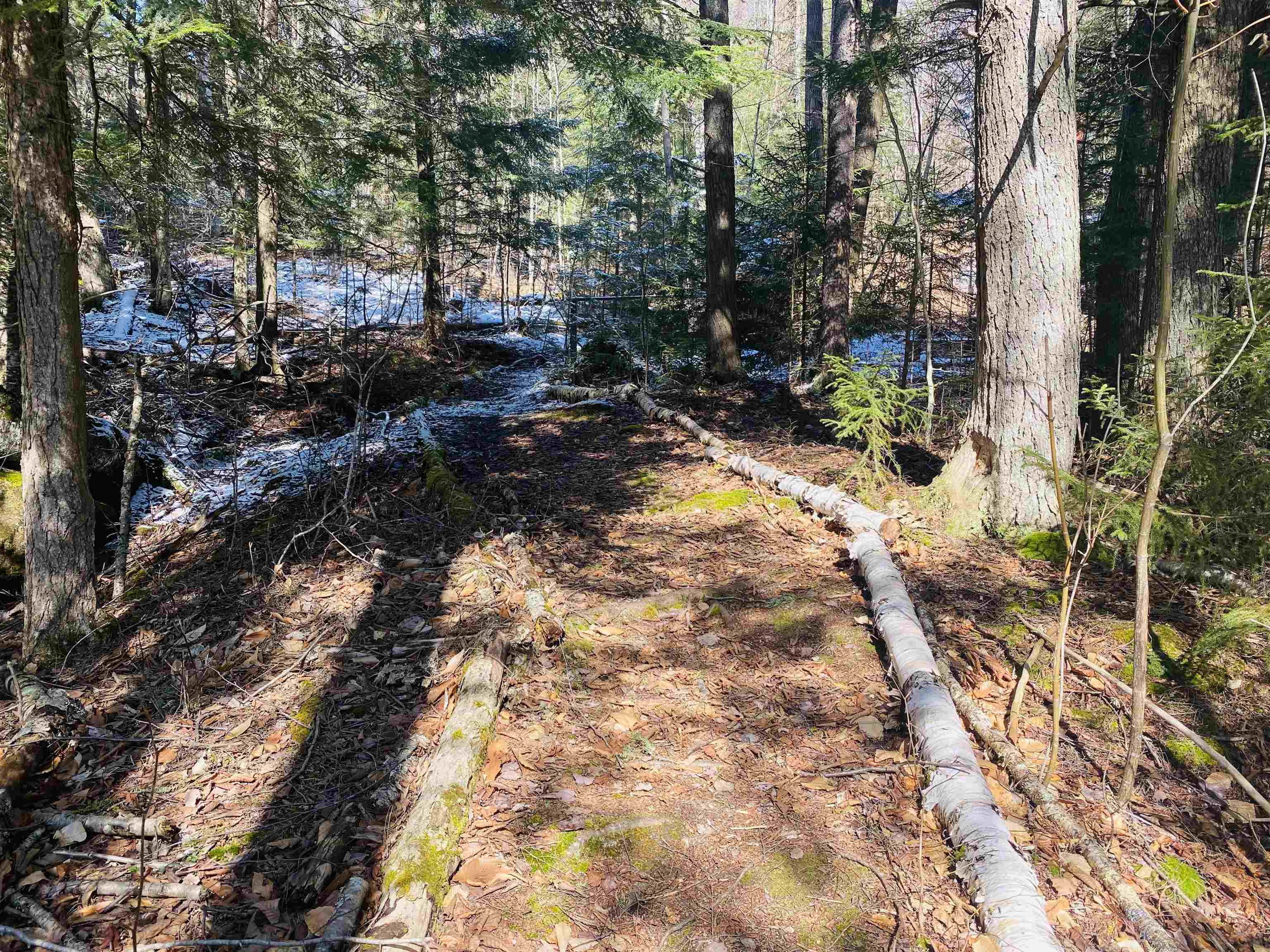 294 Rickaby Road Lowell, VT 05847 - Photo 23 of 29