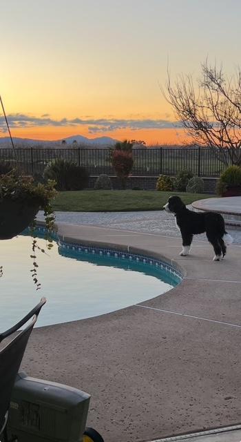 21055 Corral Hollow Road Tracy, CA 95304 - Photo 15 of 19 a view of outdoor space and yard