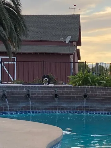 a view of outdoor space and yard