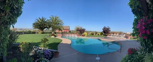 a view of a swimming pool with some potted plants