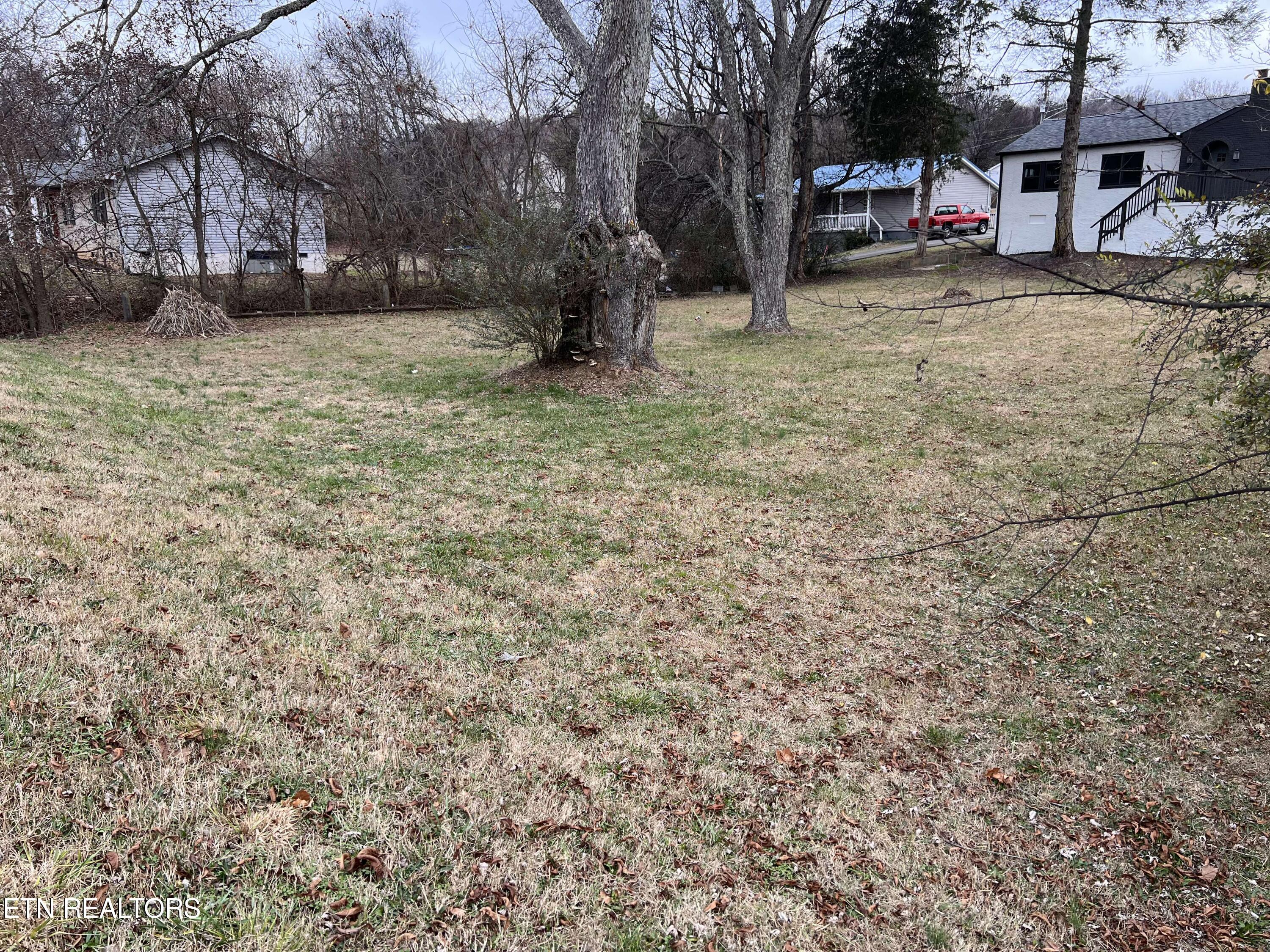 Pleasant Ridge Road Knoxville, TN 37912 - Photo 3 of 7 IMG_6244