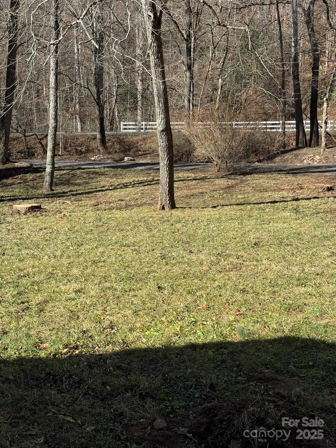 80 Larkspur Lane Cullowhee, NC 28723 - Photo 34 of 34 a view of a yard with an trees