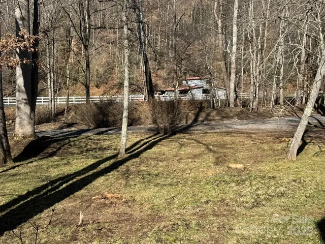 a view of a yard with large trees