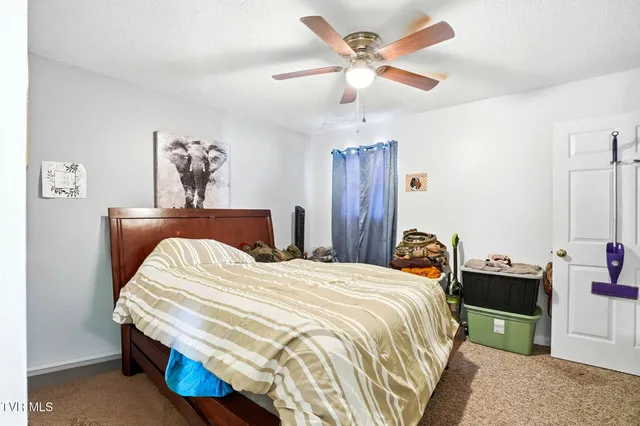 $1,700,000 | 8703 Highway 19E, Unit XVI, Roan Mountain, TN 37687