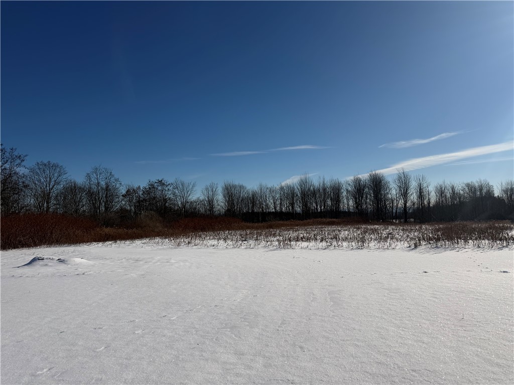 6891 Highway 53 Prattsburgh, NY 14873 - Photo 6 of 13