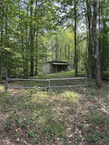 $98,500 | Hall Road, Cold Brook, NY 13324