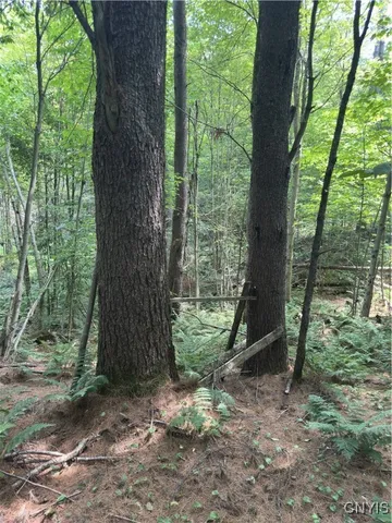 $98,500 | Hall Road, Cold Brook, NY 13324