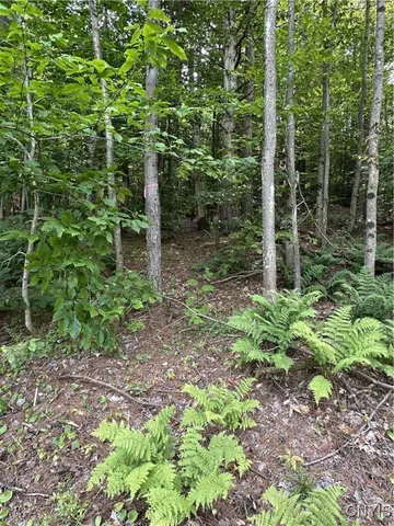 $98,500 | Hall Road, Cold Brook, NY 13324