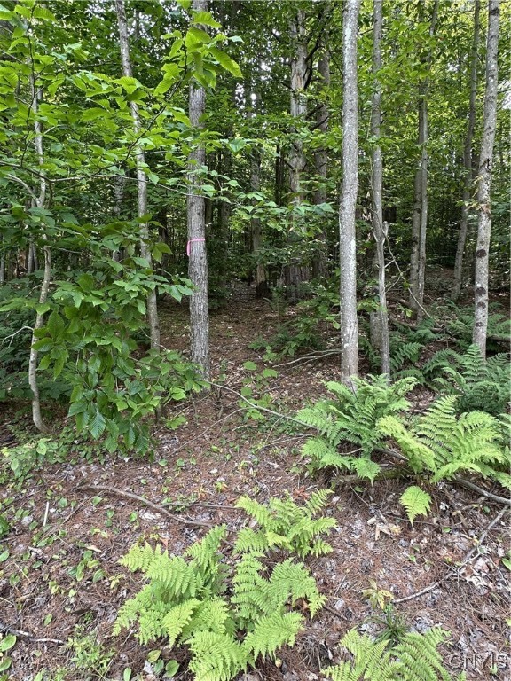 Hall Road Cold Brook, NY 13324 - Photo 13 of 13