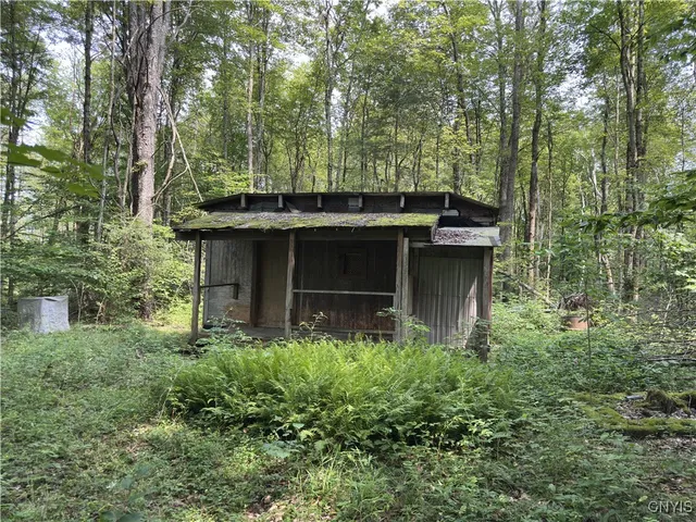 $98,500 | Hall Road, Cold Brook, NY 13324