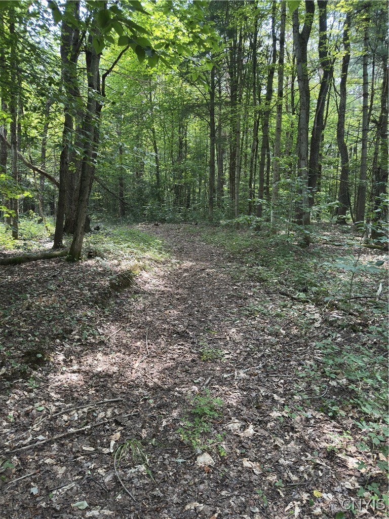 Hall Road Cold Brook, NY 13324 - Photo 3 of 13