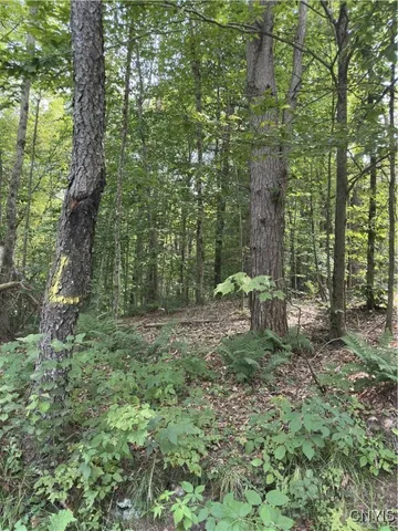 $98,500 | Hall Road, Cold Brook, NY 13324