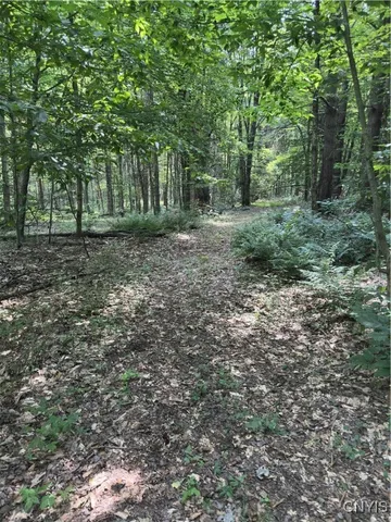 $98,500 | Hall Road, Cold Brook, NY 13324