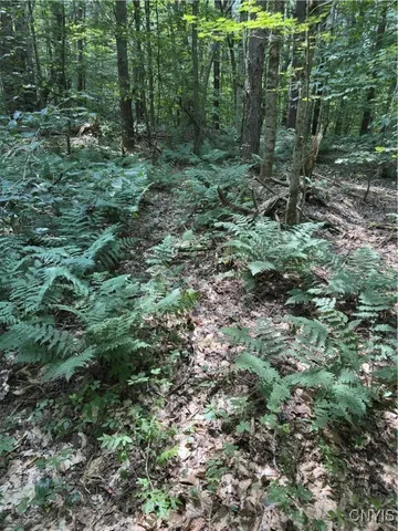 $98,500 | Hall Road, Cold Brook, NY 13324