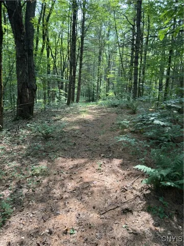 $98,500 | Hall Road, Cold Brook, NY 13324