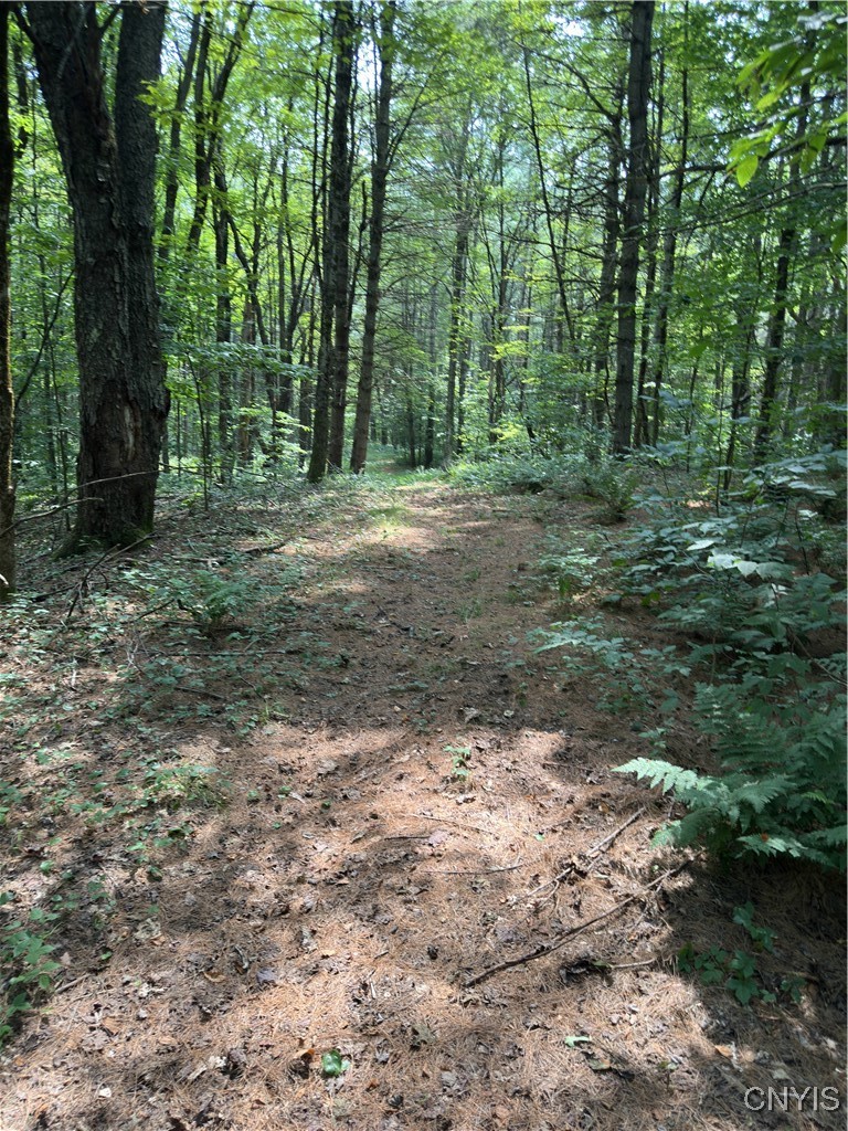 Hall Road Cold Brook, NY 13324 - Photo 7 of 13