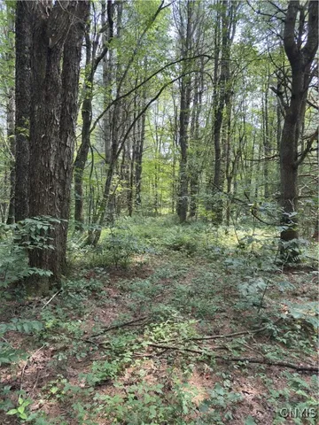 $98,500 | Hall Road, Cold Brook, NY 13324