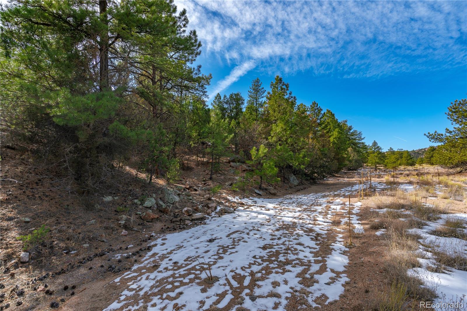 Lot 10 Prairie Dog Road Cotopaxi, CO 81223 - Photo 11 of 20 a view of a yard with a tree