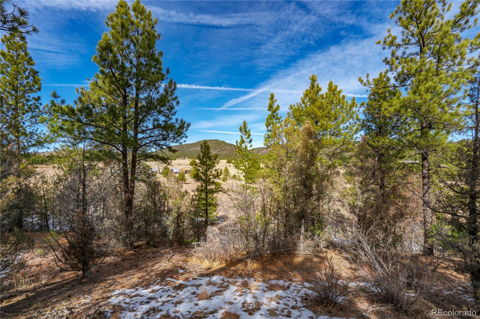 Lot 10 Prairie Dog Road Cotopaxi, CO 81223 - Photo 12 of 20 a view of a yard