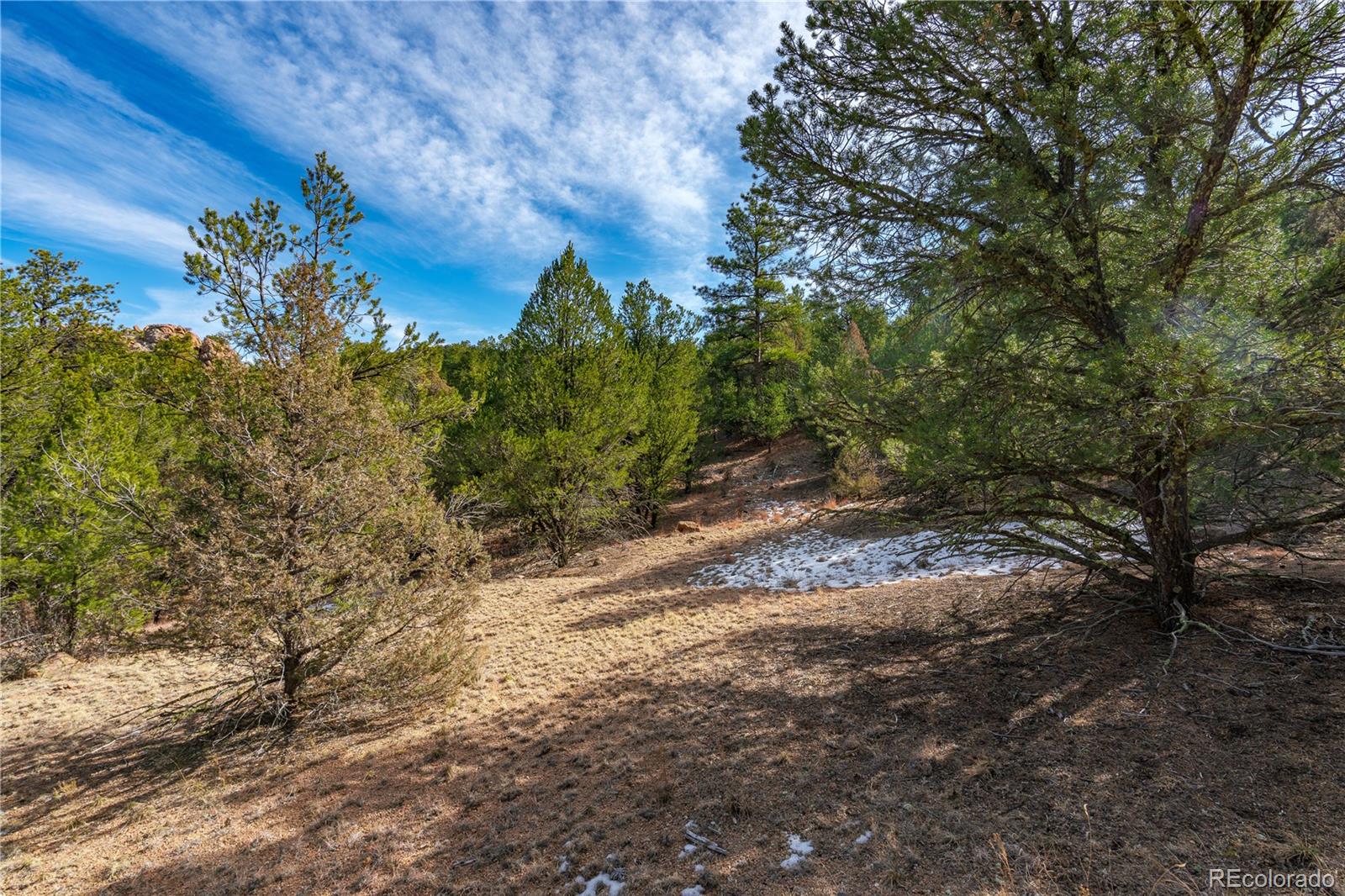 Lot 10 Prairie Dog Road Cotopaxi, CO 81223 - Photo 7 of 20 a view of a yard with plants and a tree