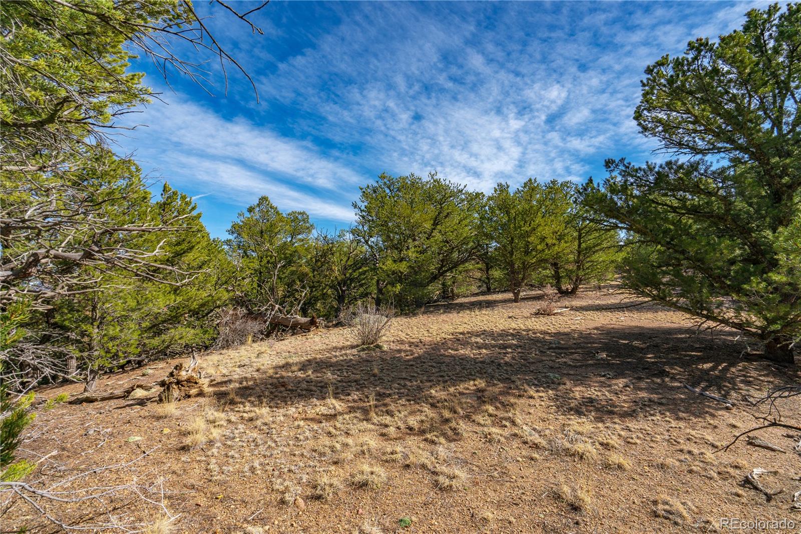 Lot 10 Prairie Dog Road Cotopaxi, CO 81223 - Photo 9 of 20 a view of a yard with plants and trees