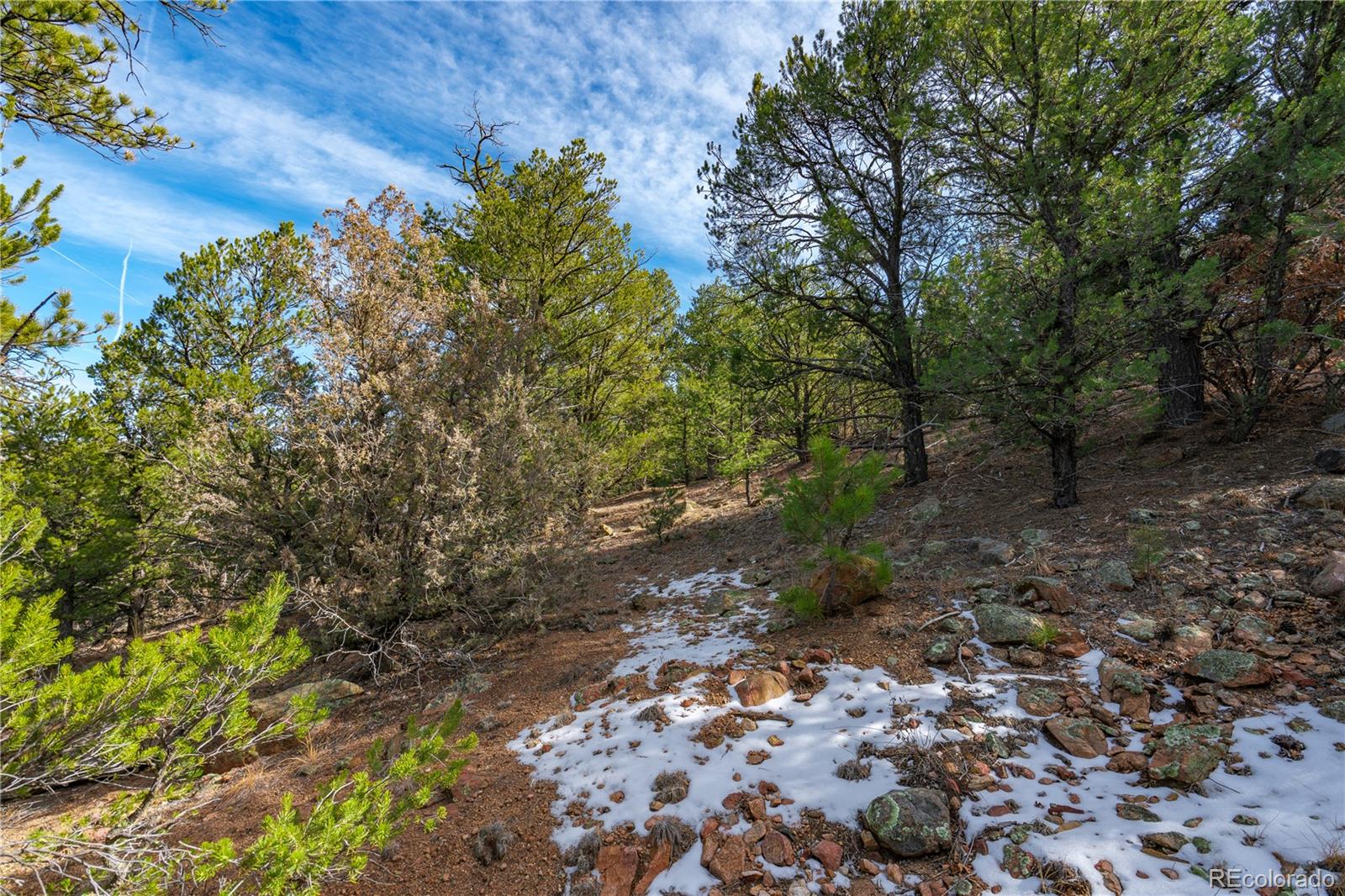 Lot 10 Prairie Dog Road Cotopaxi, CO 81223 - Photo 10 of 20 a view of a forest with trees in the background